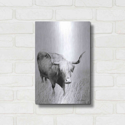 Luxe Metal Art 'Kiss My Hairy Face' by Lori Deiter, Metal Wall Art,12x16