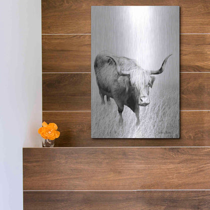 Luxe Metal Art 'Kiss My Hairy Face' by Lori Deiter, Metal Wall Art,12x16
