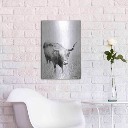 Luxe Metal Art 'Kiss My Hairy Face' by Lori Deiter, Metal Wall Art,16x24