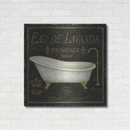 Luxe Metal Art 'Bain de Luxe I' by Daphne Brissonet, Metal Wall Art,36x36
