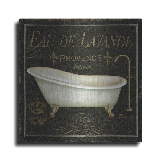 Luxe Metal Art 'Bain de Luxe I' by Daphne Brissonet, Metal Wall Art