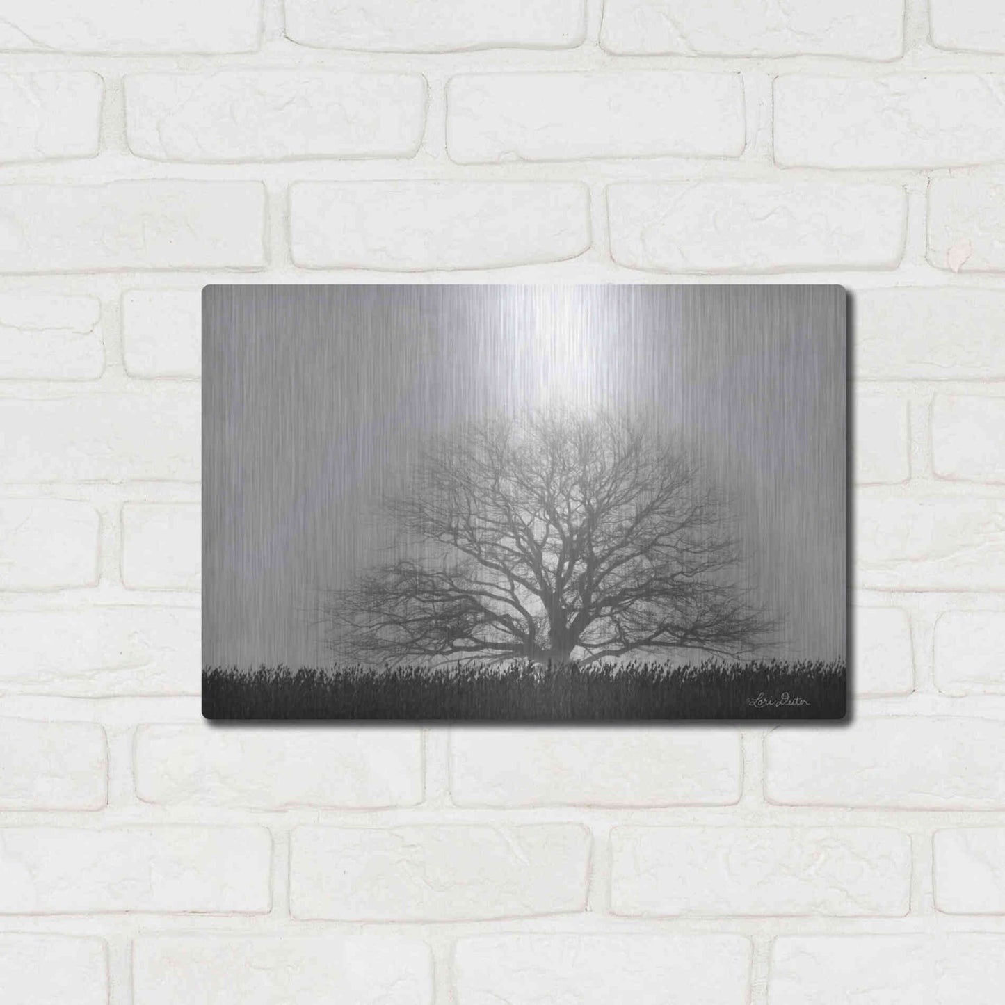 Luxe Metal Art 'Foggy Old Tree' by Lori Deiter, Metal Wall Art,16x12