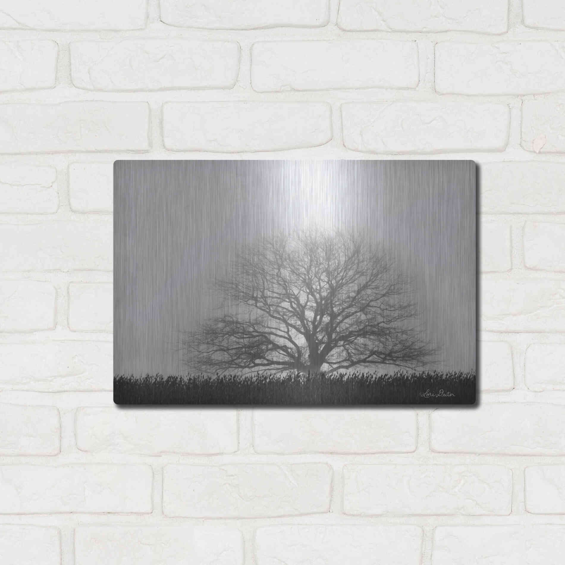 Luxe Metal Art 'Foggy Old Tree' by Lori Deiter, Metal Wall Art,16x12