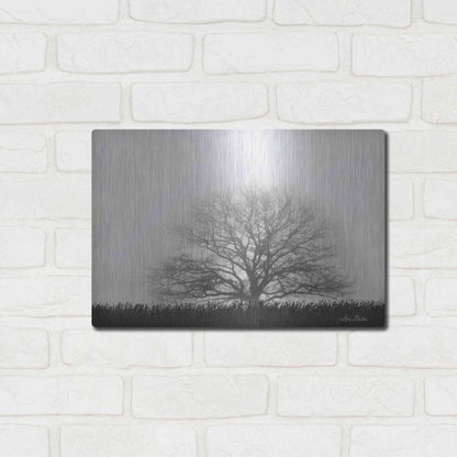 Luxe Metal Art 'Foggy Old Tree' by Lori Deiter, Metal Wall Art,16x12