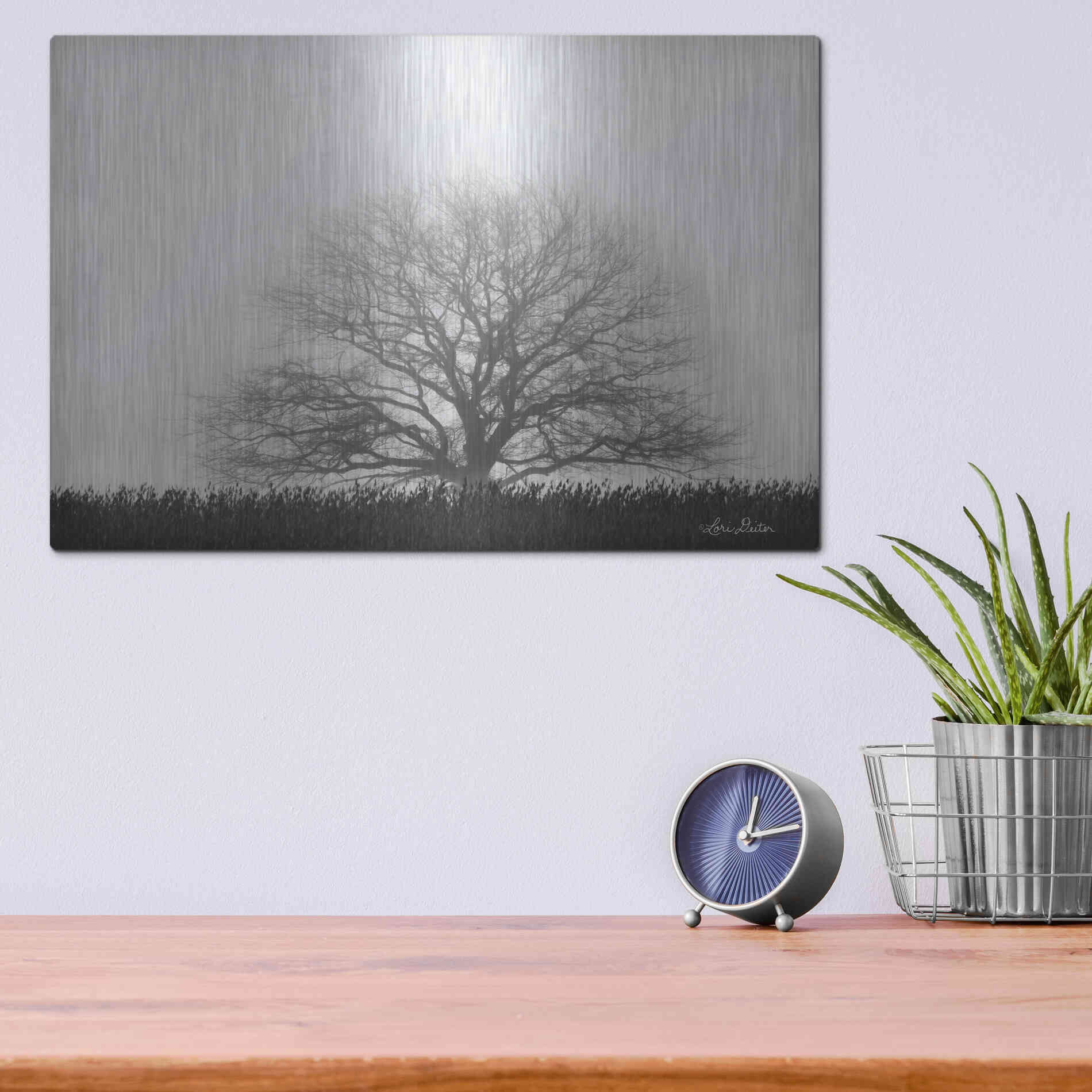 Luxe Metal Art 'Foggy Old Tree' by Lori Deiter, Metal Wall Art,16x12