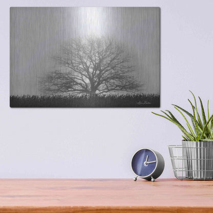 Luxe Metal Art 'Foggy Old Tree' by Lori Deiter, Metal Wall Art,16x12