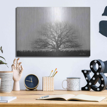 Luxe Metal Art 'Foggy Old Tree' by Lori Deiter, Metal Wall Art,16x12