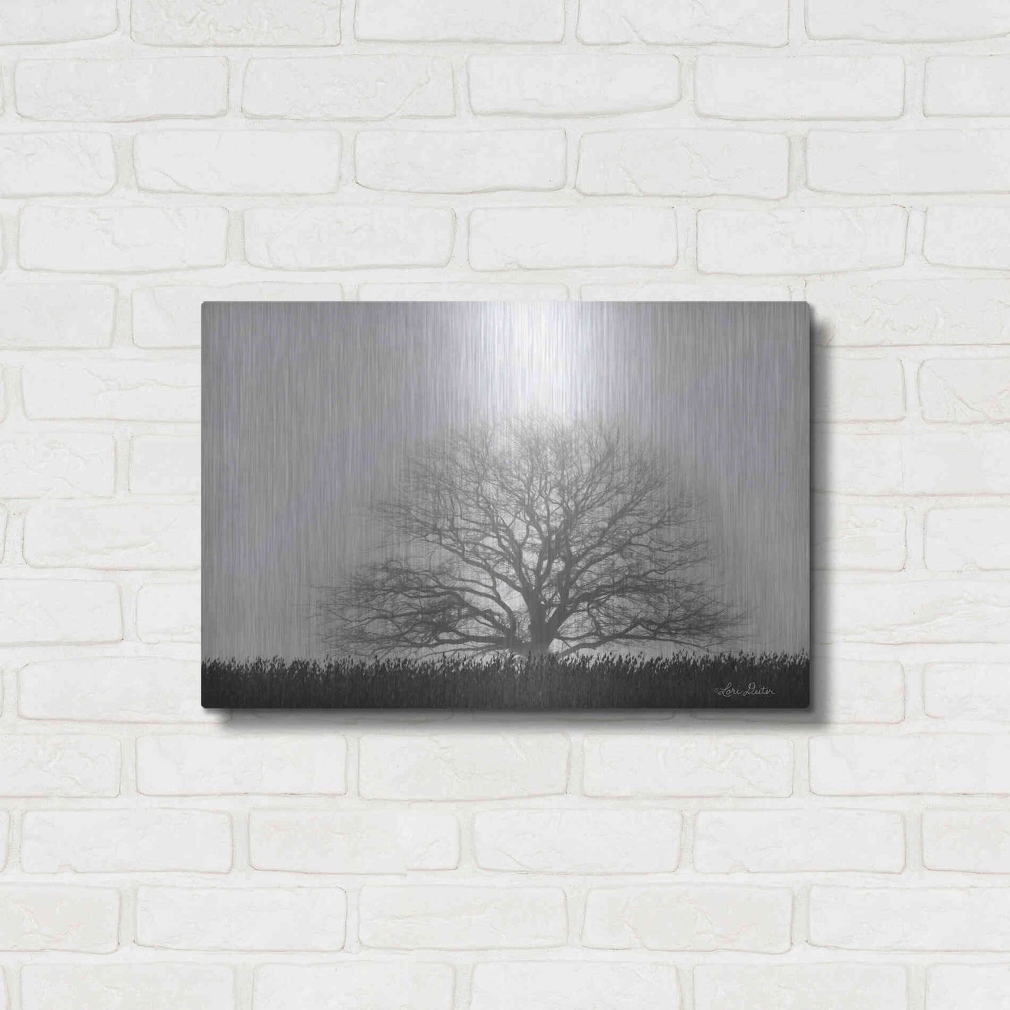 Luxe Metal Art 'Foggy Old Tree' by Lori Deiter, Metal Wall Art,24x16