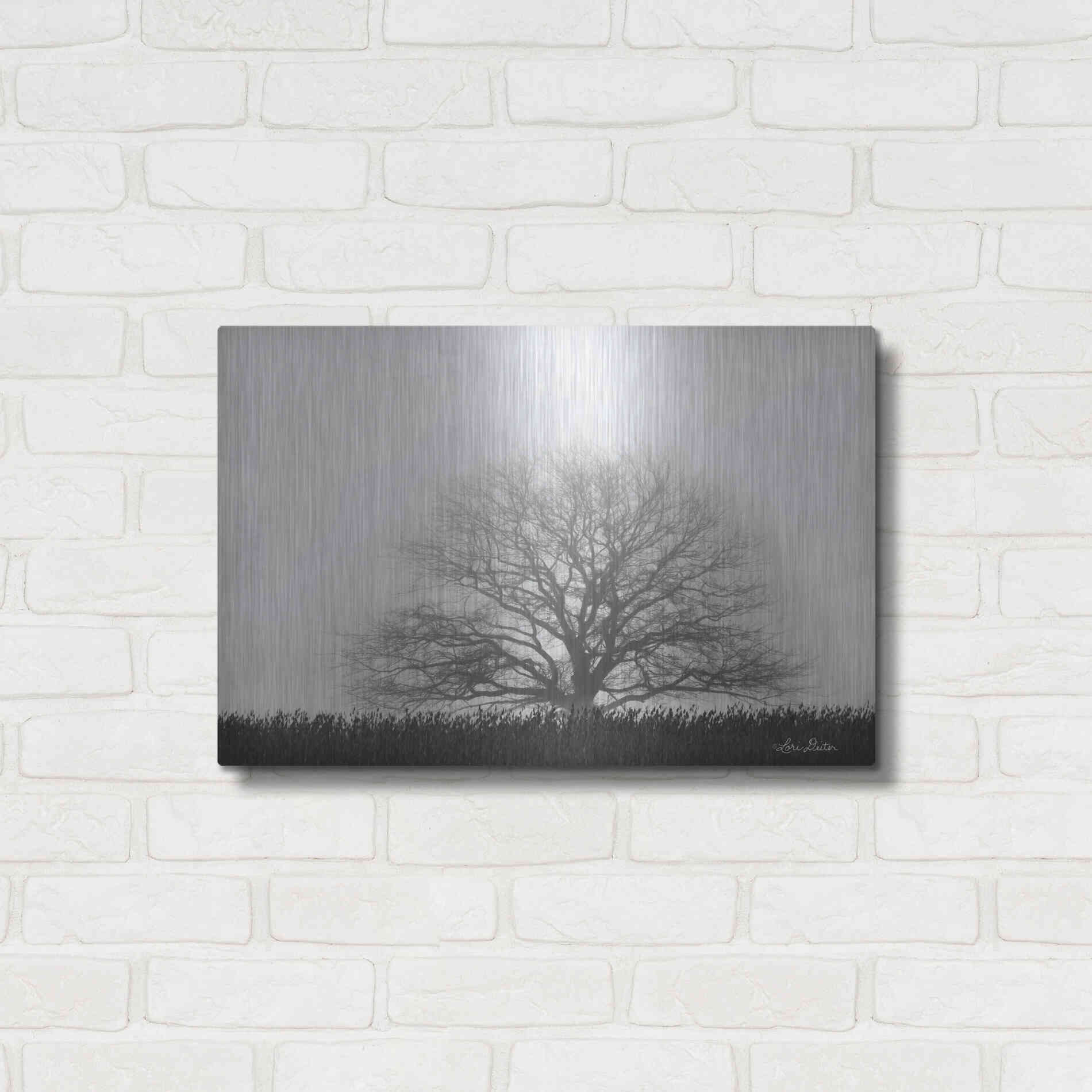 Luxe Metal Art 'Foggy Old Tree' by Lori Deiter, Metal Wall Art,24x16
