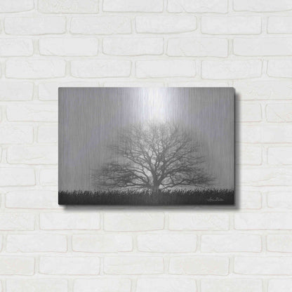 Luxe Metal Art 'Foggy Old Tree' by Lori Deiter, Metal Wall Art,24x16