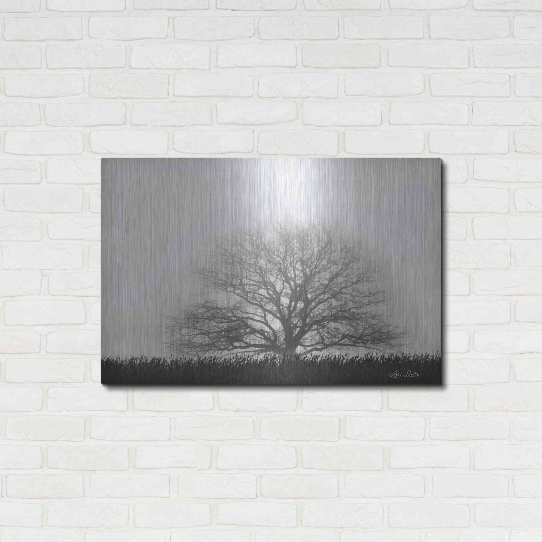 Luxe Metal Art 'Foggy Old Tree' by Lori Deiter, Metal Wall Art,36x24