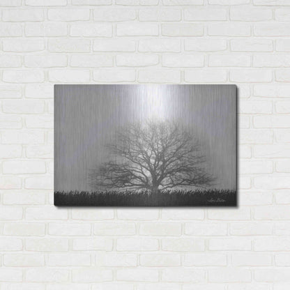 Luxe Metal Art 'Foggy Old Tree' by Lori Deiter, Metal Wall Art,36x24