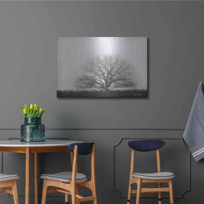 Luxe Metal Art 'Foggy Old Tree' by Lori Deiter, Metal Wall Art,36x24