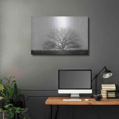 Luxe Metal Art 'Foggy Old Tree' by Lori Deiter, Metal Wall Art,36x24