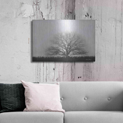 Luxe Metal Art 'Foggy Old Tree' by Lori Deiter, Metal Wall Art,36x24