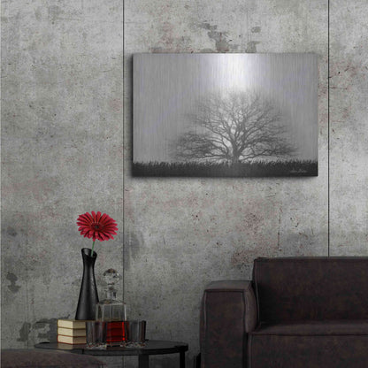 Luxe Metal Art 'Foggy Old Tree' by Lori Deiter, Metal Wall Art,36x24