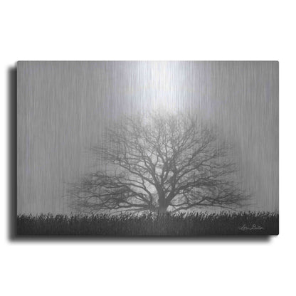 Luxe Metal Art 'Foggy Old Tree' by Lori Deiter, Metal Wall Art