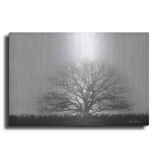 Luxe Metal Art 'Foggy Old Tree' by Lori Deiter, Metal Wall Art
