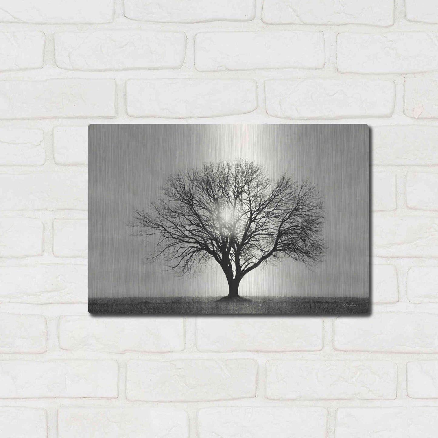 Luxe Metal Art 'Grow in Different Directions' by Lori Deiter, Metal Wall Art,16x12