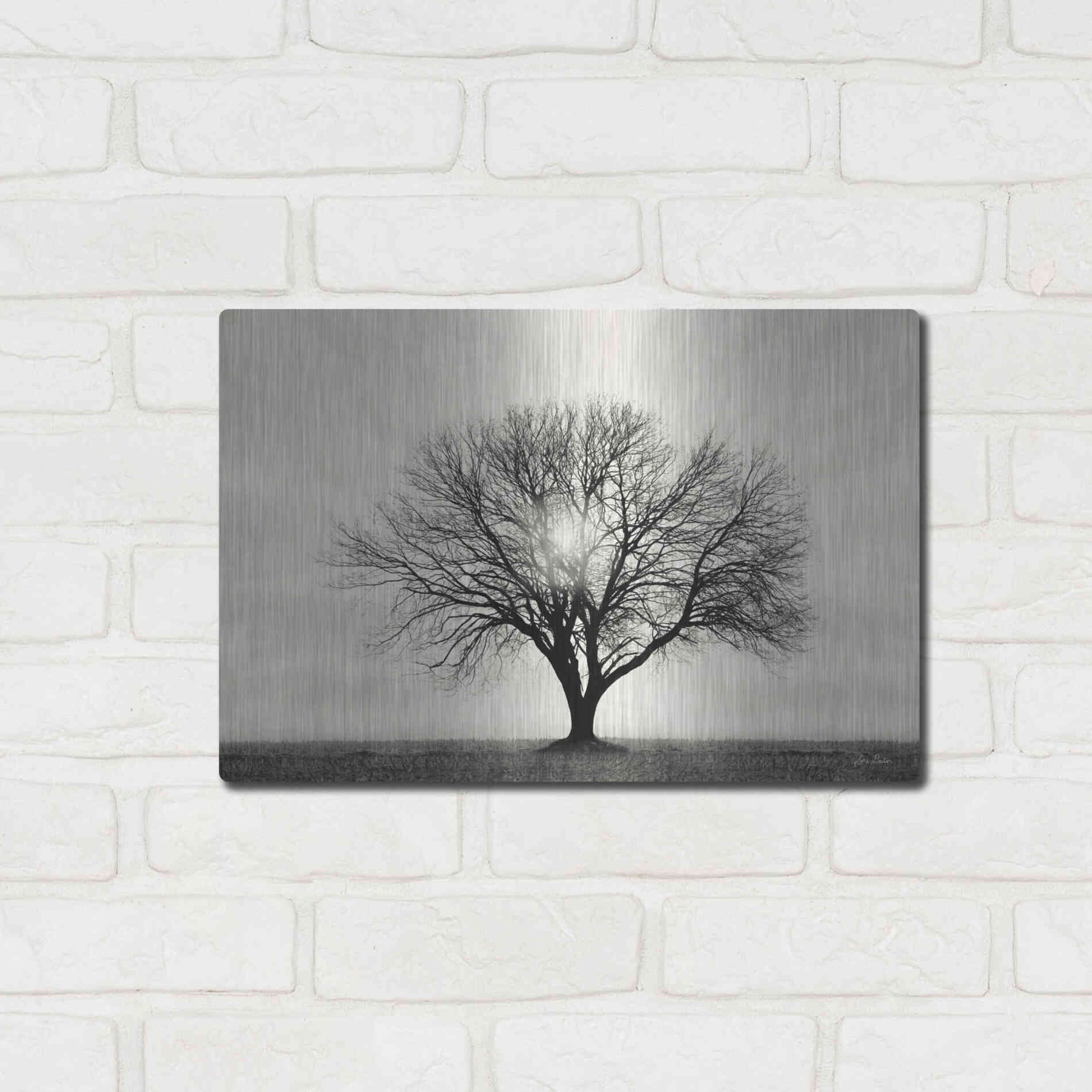 Luxe Metal Art 'Grow in Different Directions' by Lori Deiter, Metal Wall Art,16x12