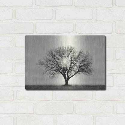 Luxe Metal Art 'Grow in Different Directions' by Lori Deiter, Metal Wall Art,16x12