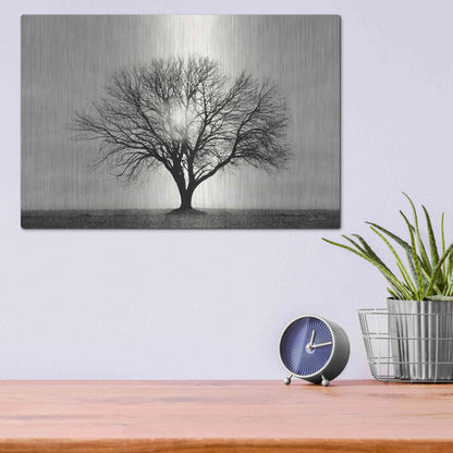 Luxe Metal Art 'Grow in Different Directions' by Lori Deiter, Metal Wall Art,16x12