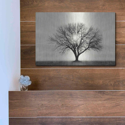 Luxe Metal Art 'Grow in Different Directions' by Lori Deiter, Metal Wall Art,16x12