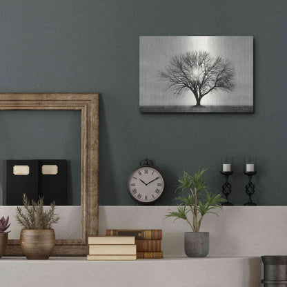Luxe Metal Art 'Grow in Different Directions' by Lori Deiter, Metal Wall Art,16x12