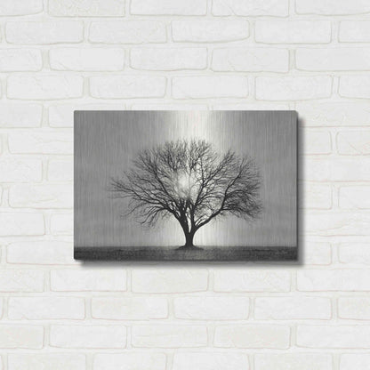 Luxe Metal Art 'Grow in Different Directions' by Lori Deiter, Metal Wall Art,24x16