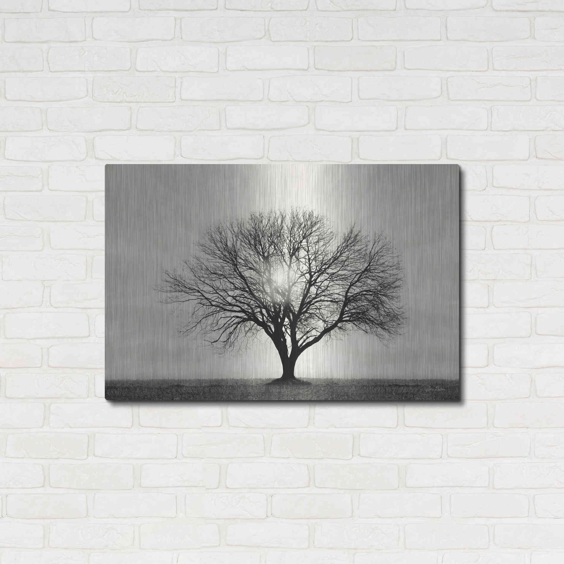 Luxe Metal Art 'Grow in Different Directions' by Lori Deiter, Metal Wall Art,36x24