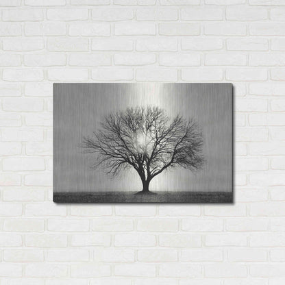Luxe Metal Art 'Grow in Different Directions' by Lori Deiter, Metal Wall Art,36x24