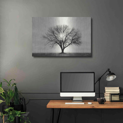 Luxe Metal Art 'Grow in Different Directions' by Lori Deiter, Metal Wall Art,36x24