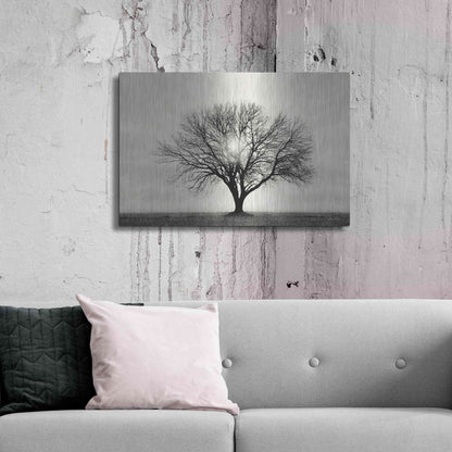 Luxe Metal Art 'Grow in Different Directions' by Lori Deiter, Metal Wall Art,36x24