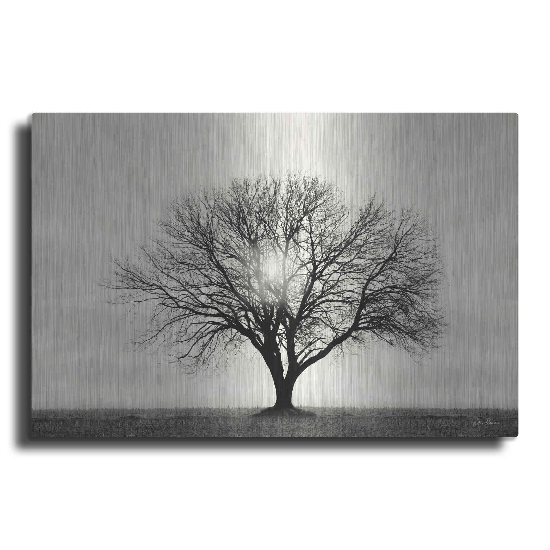 Luxe Metal Art 'Grow in Different Directions' by Lori Deiter, Metal Wall Art