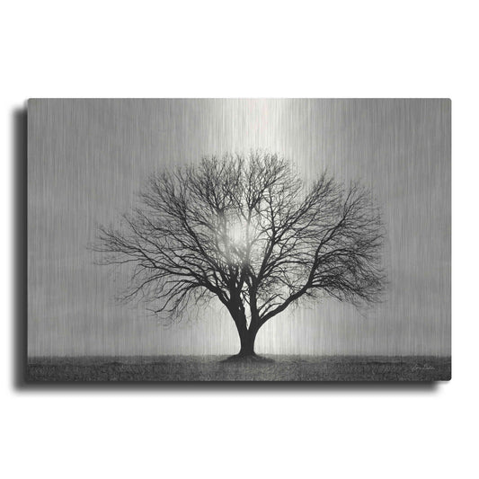 Luxe Metal Art 'Grow in Different Directions' by Lori Deiter, Metal Wall Art