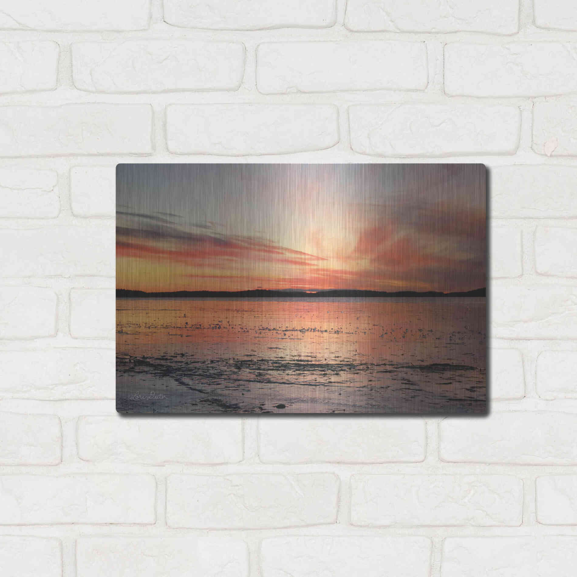 Luxe Metal Art 'Fire and Ice' by Lori Deiter, Metal Wall Art,16x12