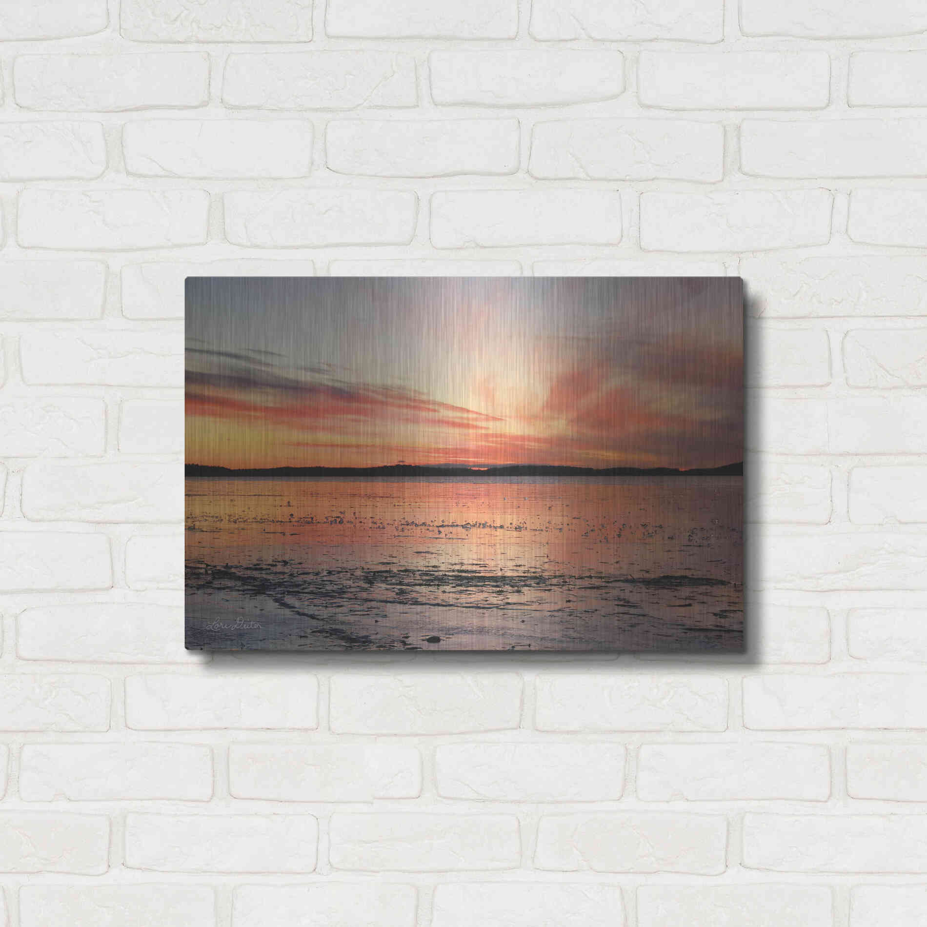 Luxe Metal Art 'Fire and Ice' by Lori Deiter, Metal Wall Art,24x16