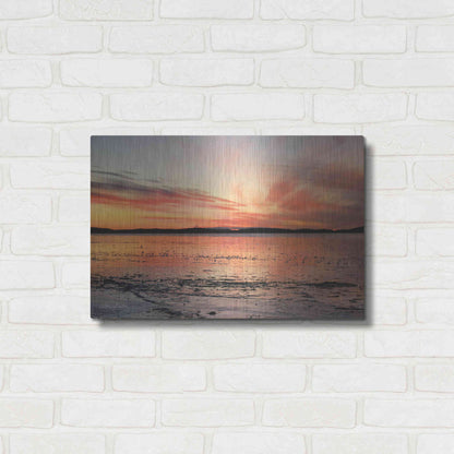 Luxe Metal Art 'Fire and Ice' by Lori Deiter, Metal Wall Art,24x16