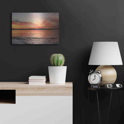 Luxe Metal Art 'Fire and Ice' by Lori Deiter, Metal Wall Art,24x16