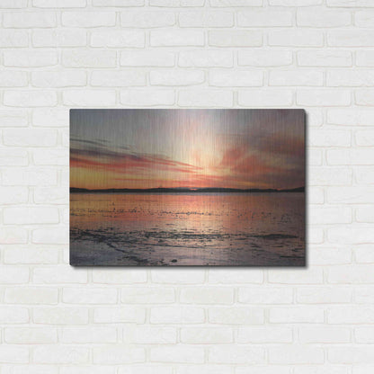 Luxe Metal Art 'Fire and Ice' by Lori Deiter, Metal Wall Art,36x24