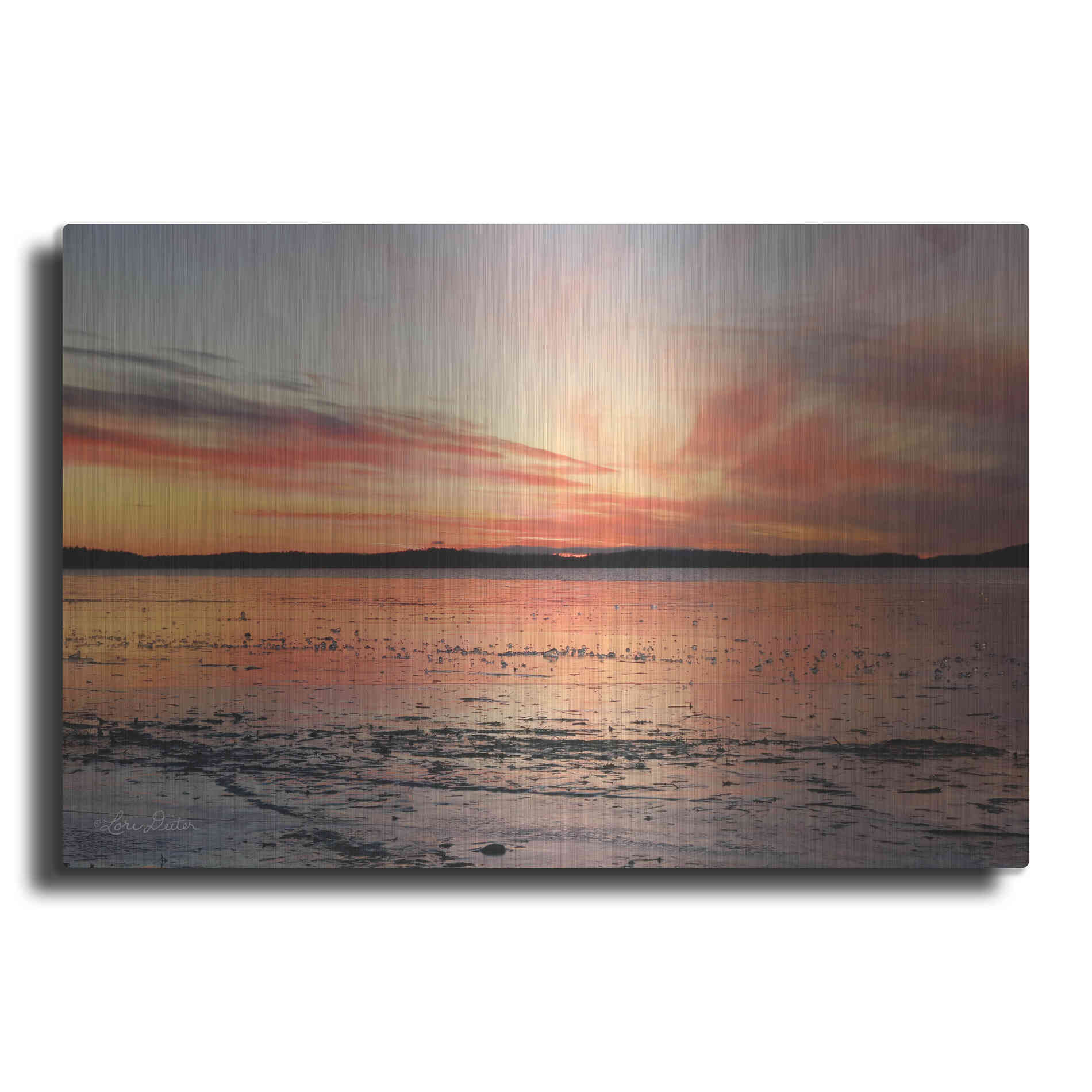 Luxe Metal Art 'Fire and Ice' by Lori Deiter, Metal Wall Art