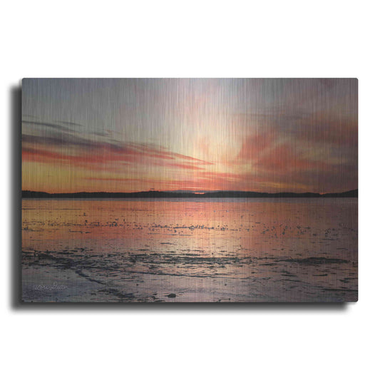 Luxe Metal Art 'Fire and Ice' by Lori Deiter, Metal Wall Art