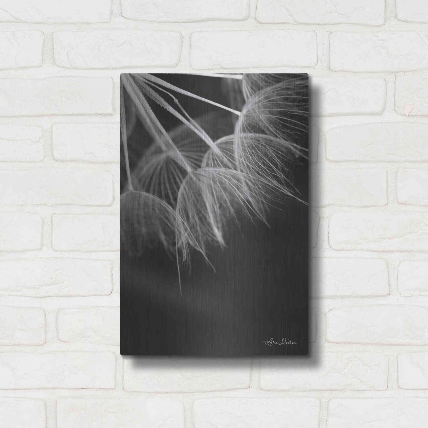 Luxe Metal Art 'Goatsbeard I' by Lori Deiter, Metal Wall Art,12x16