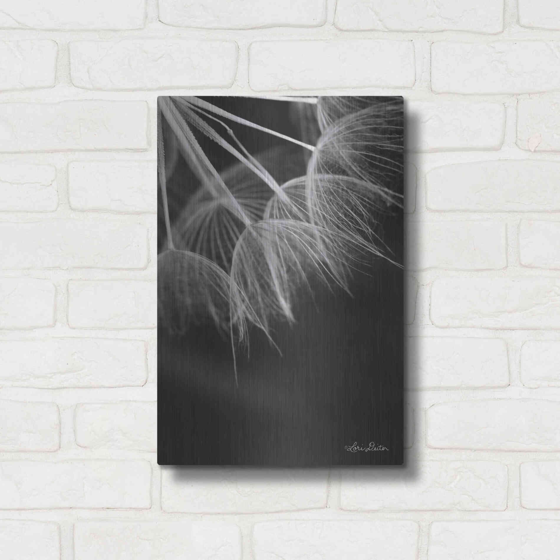 Luxe Metal Art 'Goatsbeard I' by Lori Deiter, Metal Wall Art,12x16