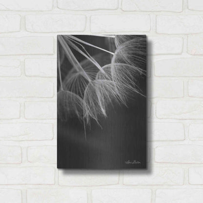 Luxe Metal Art 'Goatsbeard I' by Lori Deiter, Metal Wall Art,12x16