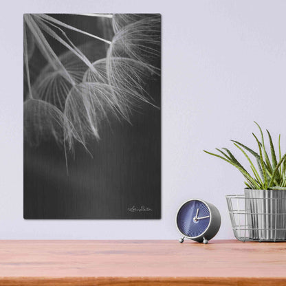 Luxe Metal Art 'Goatsbeard I' by Lori Deiter, Metal Wall Art,12x16