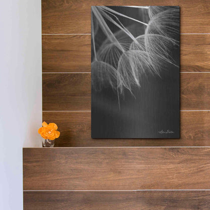 Luxe Metal Art 'Goatsbeard I' by Lori Deiter, Metal Wall Art,12x16