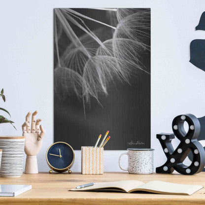 Luxe Metal Art 'Goatsbeard I' by Lori Deiter, Metal Wall Art,12x16