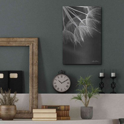 Luxe Metal Art 'Goatsbeard I' by Lori Deiter, Metal Wall Art,12x16