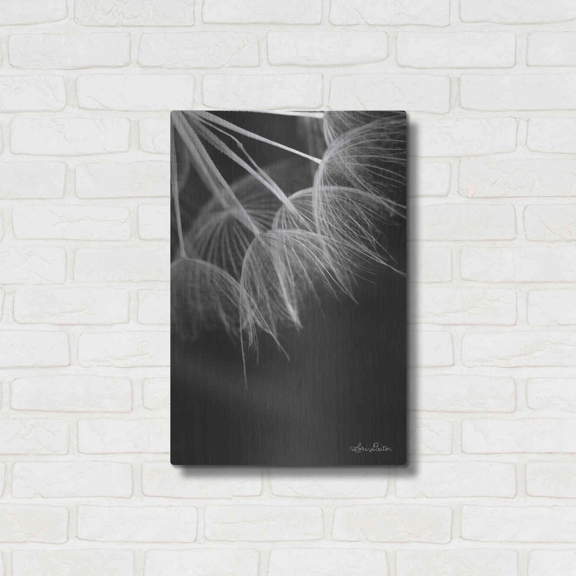 Luxe Metal Art 'Goatsbeard I' by Lori Deiter, Metal Wall Art,16x24